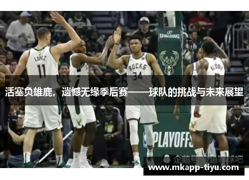 活塞负雄鹿，遗憾无缘季后赛——球队的挑战与未来展望